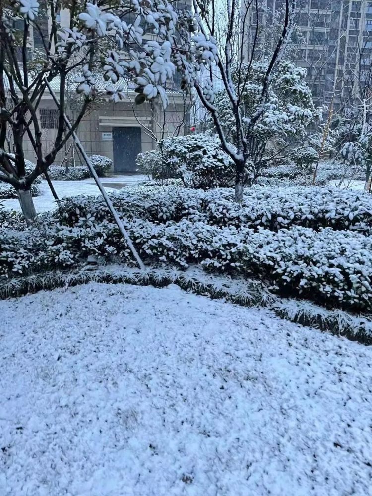 高邮终于下雪啦高邮朋友圈晒雪景大赛认领照片啦