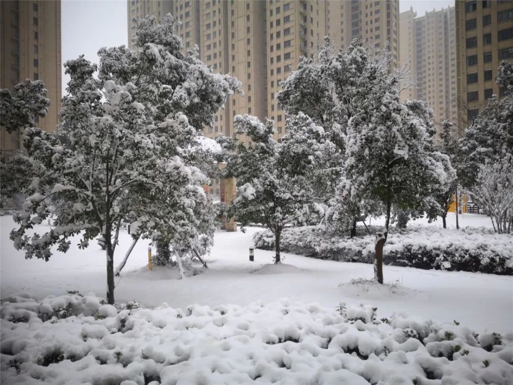 2月7日大雪13位摄影师记录安徽各地雪景有你熟悉的场景吗