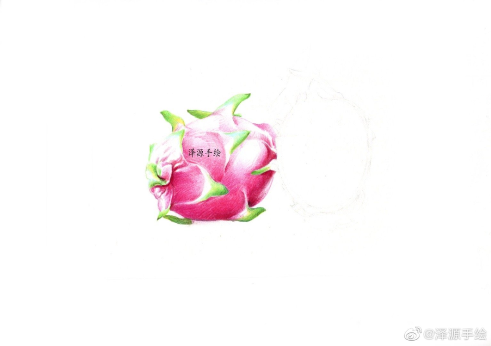 水果绘彩铅火龙果绘画过程画师泽源手绘