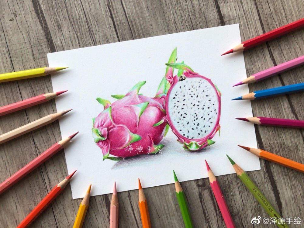 水果绘彩铅火龙果绘画过程画师泽源手绘