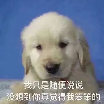 表情包我只是随便说说没想到你真的觉得我笨笨的