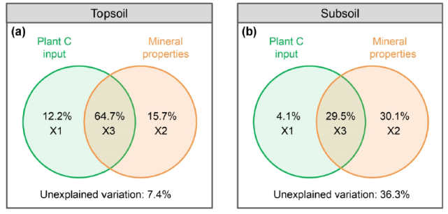 model were caexe and feo alo in both the topsoil and subsoil