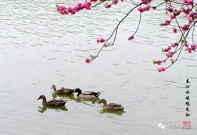 宋 苏轼《惠崇春江晚景*图片源于网络综合,不能一一