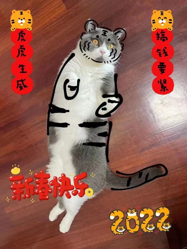 宠物主人的"照猫画虎 张力克 图俗语说"画虎不成反似猫"画虎成猫