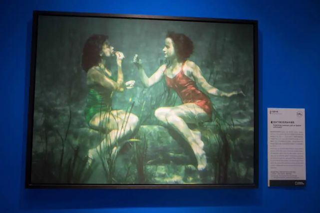 得知她的名字叫莎芭·古拉(shabatgula)浅绿色眼眸的阿富汗少女finds