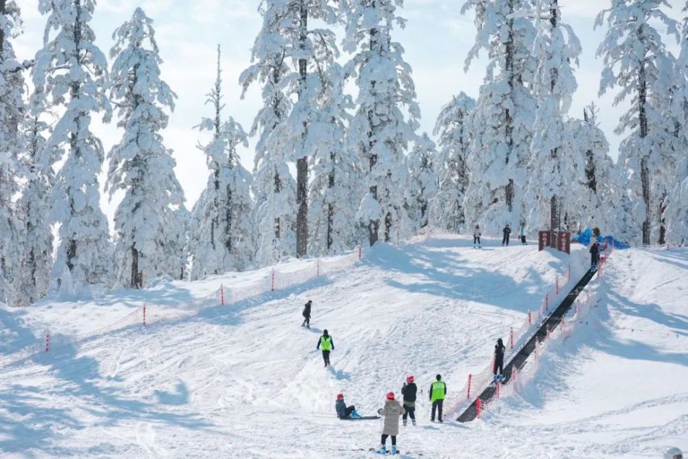 瓦屋山象尔山庄滑雪场,视野开阔,肆意抓起一把雪,尽情挥洒在空中,欢笑