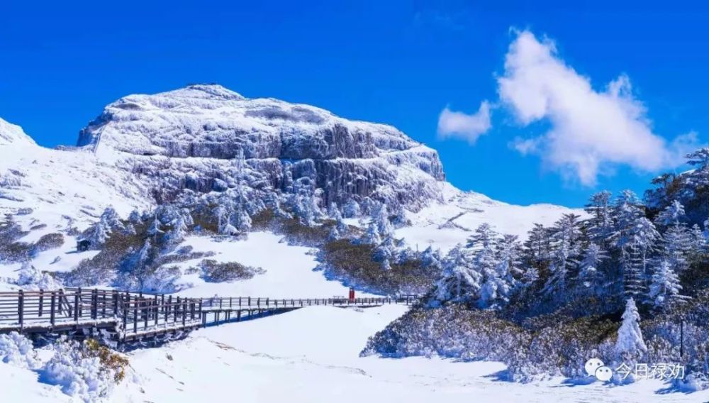 醉美轿子雪山