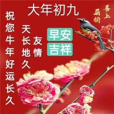 2022虎年正月初九朋友圈家人祝福温馨图片大年初九问候祝福语