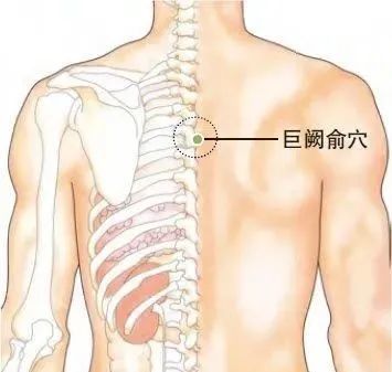 部位: 在背部,位于第四,五胸椎棘突之间凹陷中.