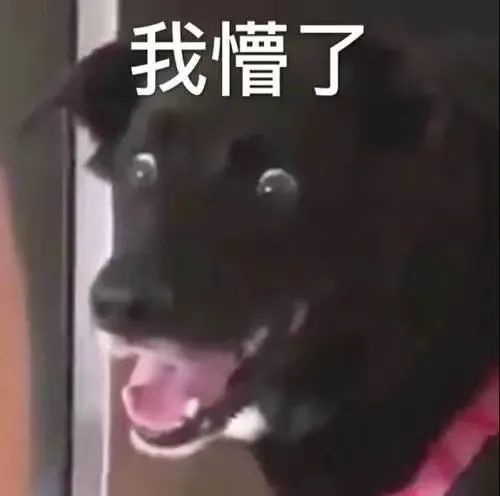 震惊颤抖表情包