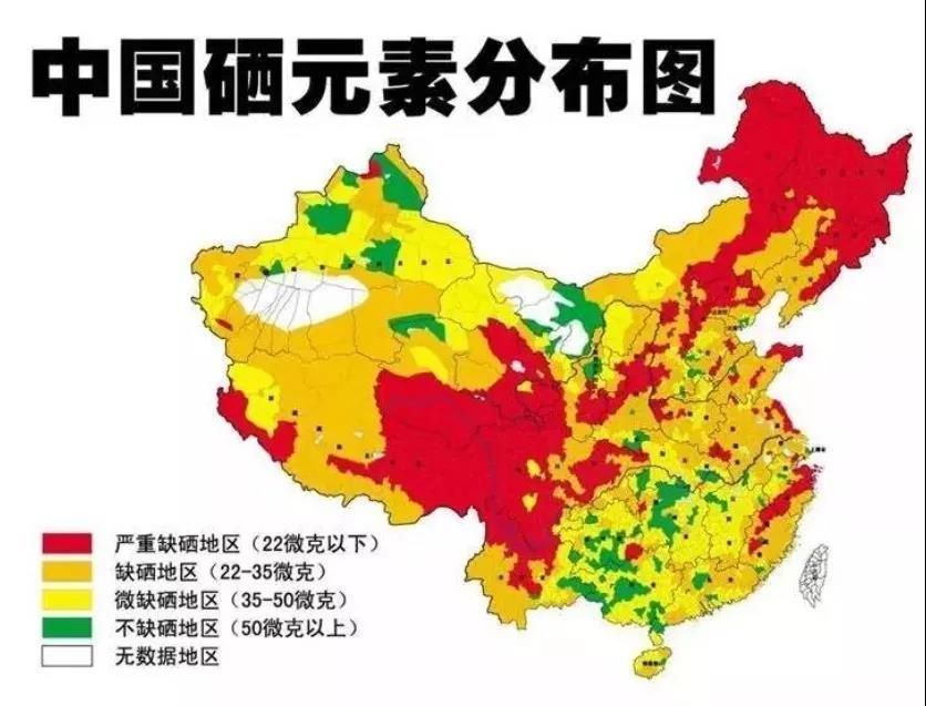 cell子刊补硒可以模拟运动提高大脑学习和记忆能力