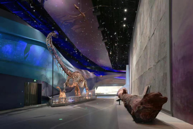 喜报迎新|武汉园博园(武汉自然博物馆)迎来虎年三项大奖