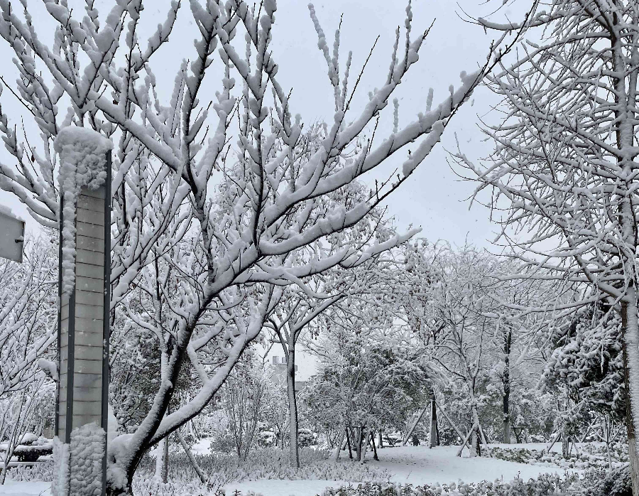 虎年吉祥瑞雪兆大美天中欢迎您