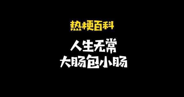 热梗百科人生无常大肠包小肠是什么梗