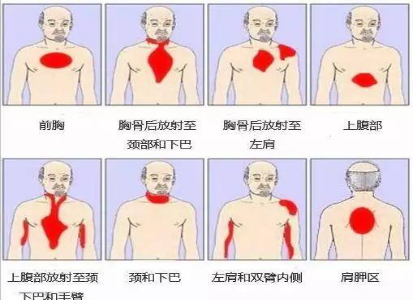 爱护生命从心开始