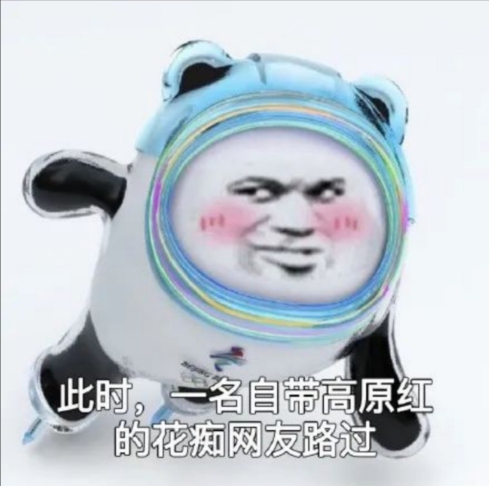 冰墩墩恶搞表情包0209
