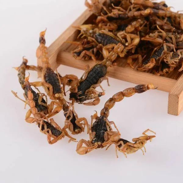 全蝎的功效与作用全蝎的禁忌人群有哪些