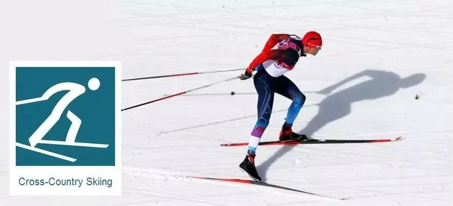 cross-country skiing越野滑雪curling冰壶bobsleigh雪车alpine