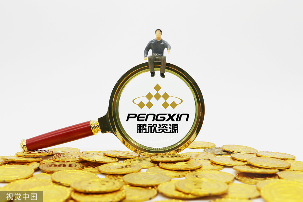 鹏欣资源600490虚假陈述被罚受损投资者可积极参与索赔