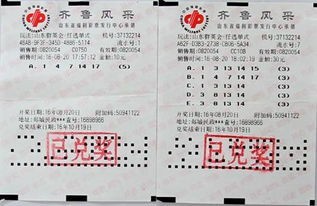 大家可以关注每一期的中奖号码,将这些号码记录下来然后仔细地查看