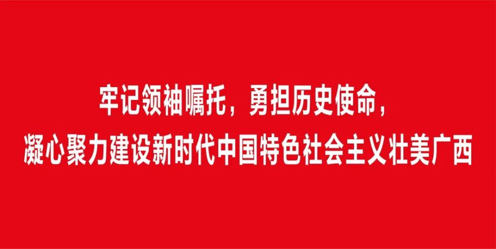 贯彻落实自治区第十二次党代会精神宣传标语