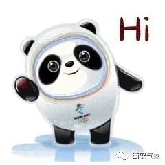 蹲不到冰墩墩可以蹲个预报