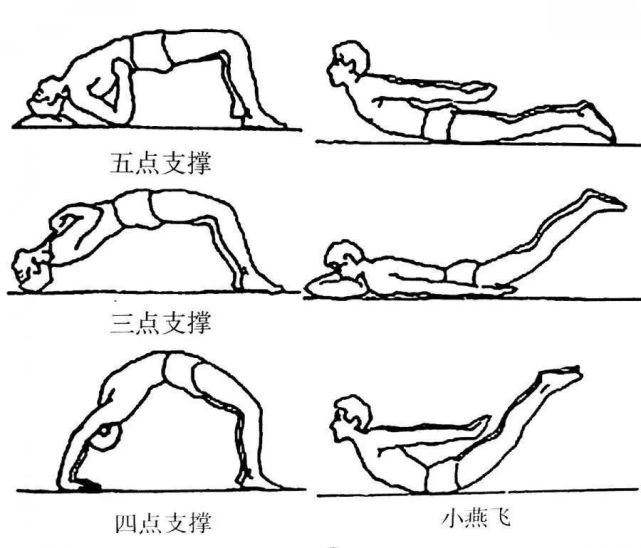 五点支撑法:仰卧位,双膝屈曲,以足跟,双肘,头部当支点,抬起骨盆(用力