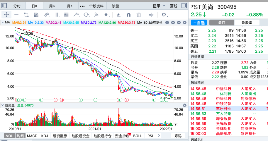 2020年以来跌幅最大的十只股票