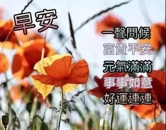 大年十一新版早上好暖心祝福短信虎年新春朋友圈漂亮的早上好问候语