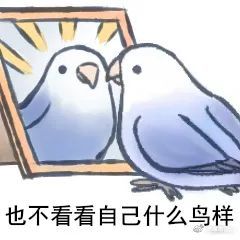 说的什么鸟语鸟图系列表情包二