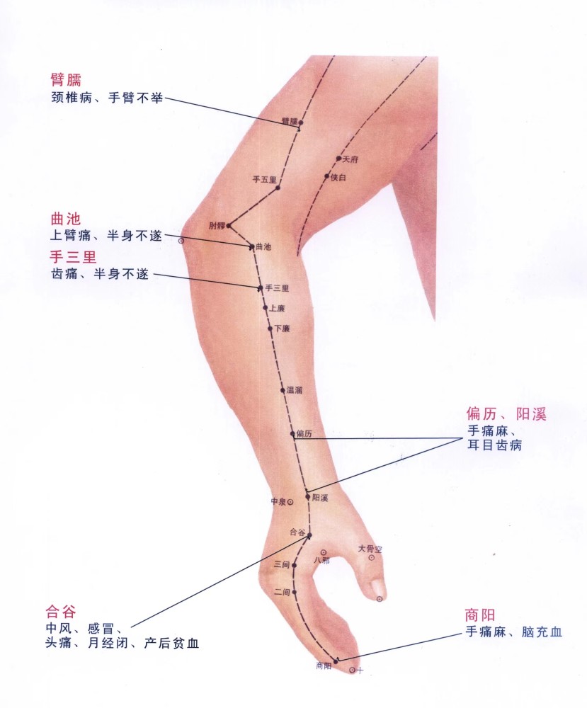 常用穴位系列四之上肢常用穴位