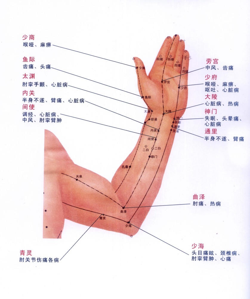 常用穴位系列四之上肢常用穴位