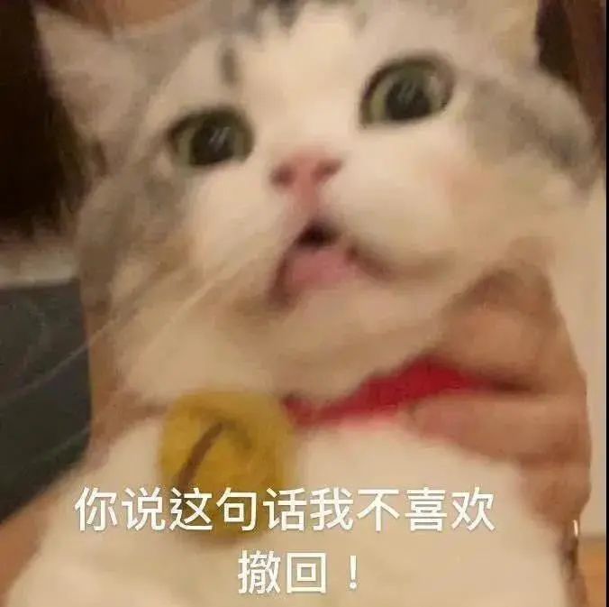 猫咪表情包是可爱的猫咪表情包来啦