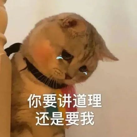 猫咪表情包是可爱的猫咪表情包来啦