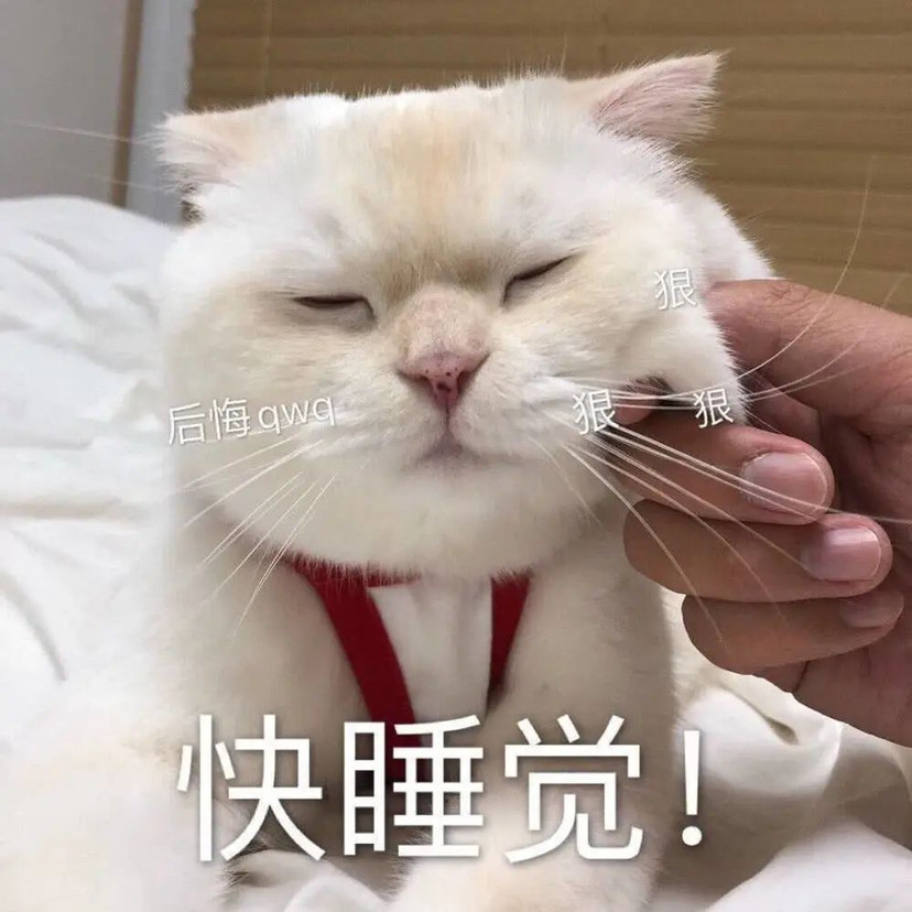 猫咪犯困表情包你走吧我和被子过