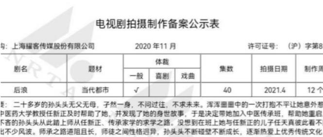 电视剧后浪由哪些人主演后浪讲述了什么故事