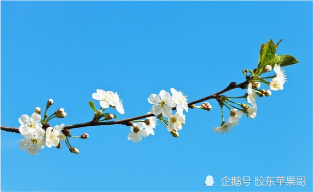 七九到来全国大范围雨雪来袭有何预兆农村谚语怎么说