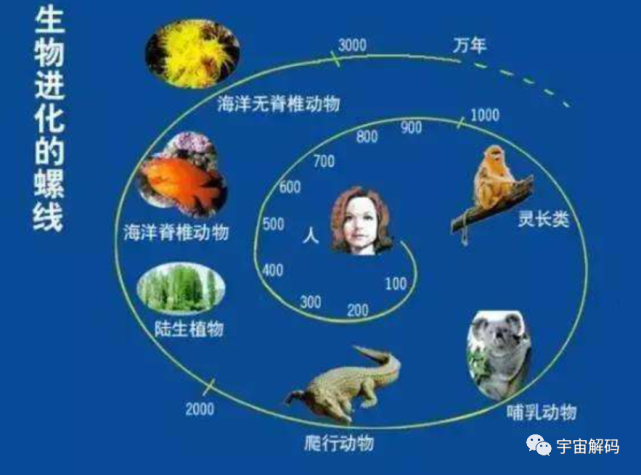 科学菌:生物进化普遍选择的是衰老,而不是永生,这究竟是为什么?