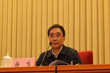 粮仓硕鼠徐鸣被捕曾被指妄议党中央大政方针