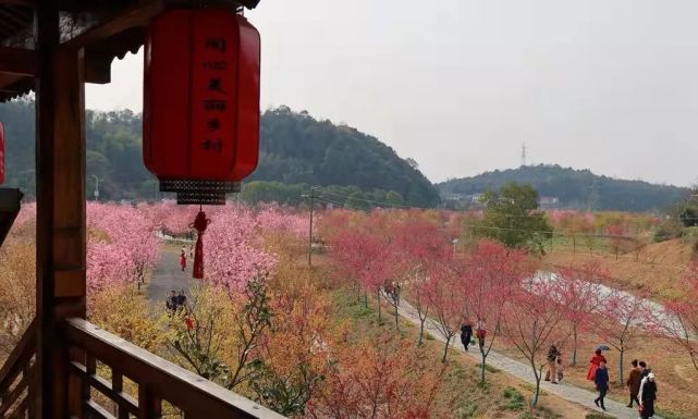 让我们一起全面解锁大量湘潭樱花园实景图来袭!你准备好了吗?浪漫的樱