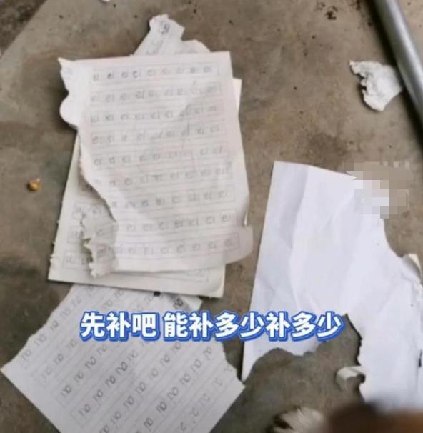 安徽一小学生的作业被狗撕碎女生大哭我只差一行字就写完了