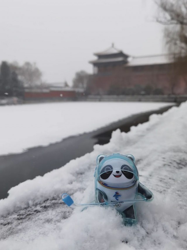 虎年北京第一场雪冰墩墩也去故宫拍照啦