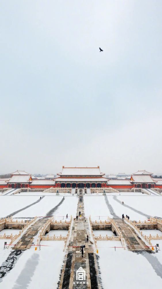 再次领略紫禁城的魅力在大雪纷飞中琉璃世界,白雪红墙上新了故宫的