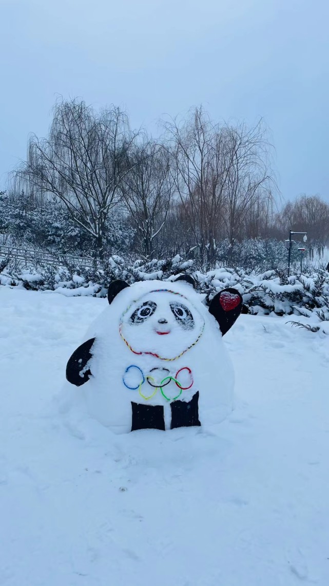 冰墩墩(来自:拽哥吃喝玩乐行吕大公主)雪墩墩