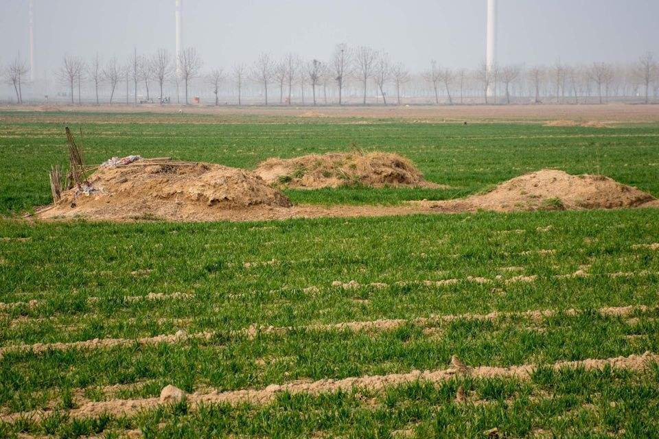 在平原地区的农村,到现在为止还是把坟墓埋在耕地里,从而导致耕地七零