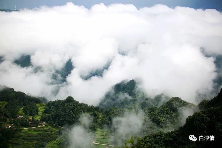 云来山更美云去山如画雾漫山村