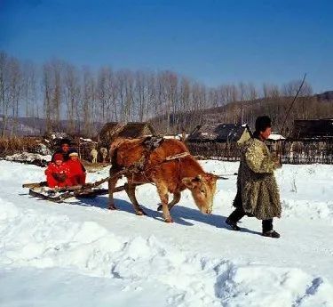 【重温记忆】难得的上世纪80年代东北农村老照片(图组|东北地区|农家