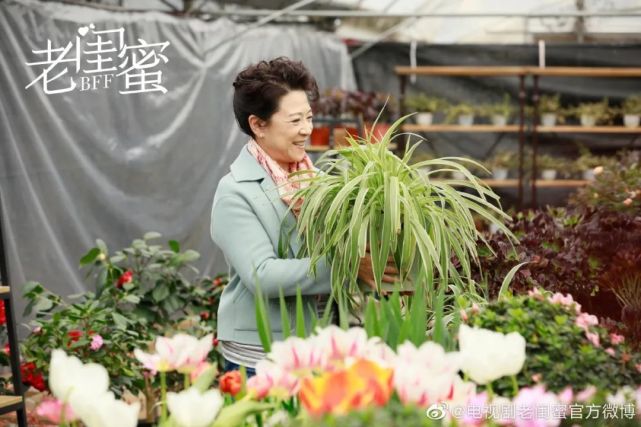 《老闺蜜》导演乔梁:为老年人拍剧,我是认真的