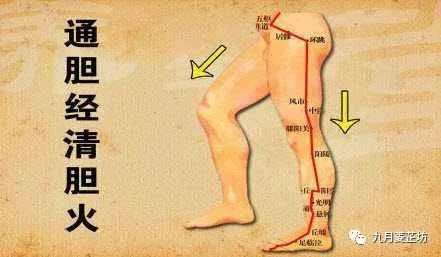 因为承受了大量的肝毒产生瘀滞堵塞,进而影响到肝脏的毒素也无路可排