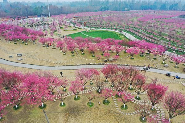 市文体旅局主办,青城山镇,问花村文旅集团承办的2022年都江堰市春季